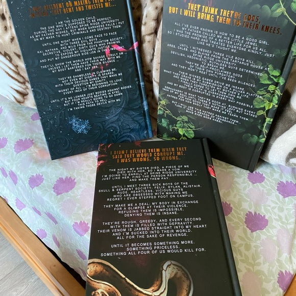 Spine Ridge University kickstarter - Picture 2 of 8